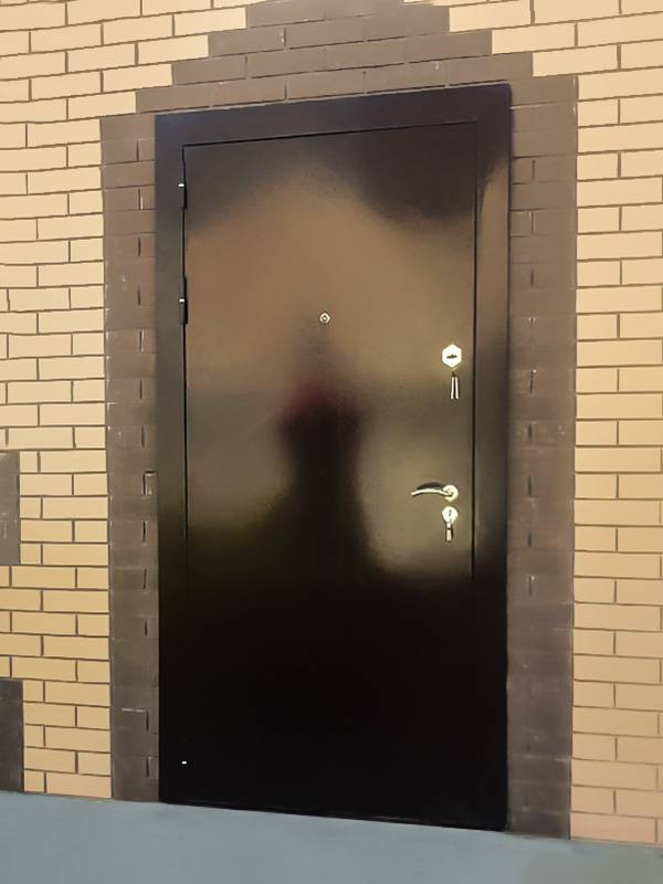 Дверь с порошковым покрытием (коттеджный поселок)