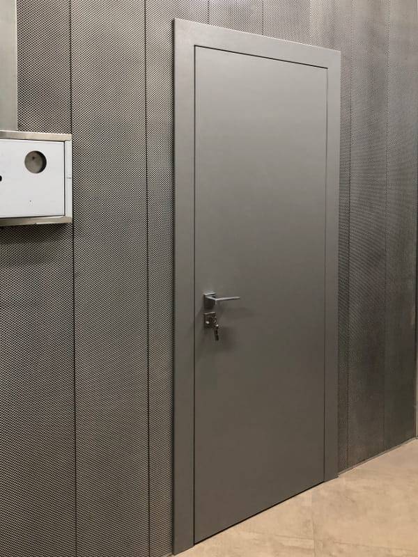 Однопольная глухая дверь